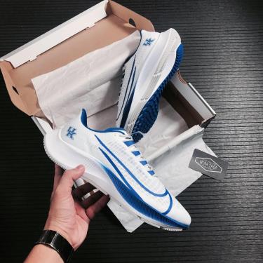 nike air zoom pegasus kentucky