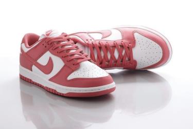 nike dunks 40